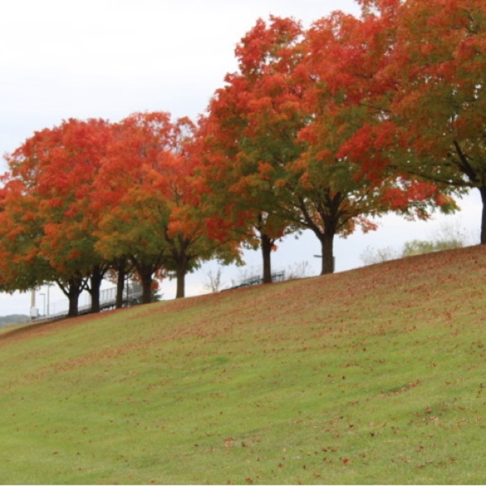 Meet your Posher, Summer